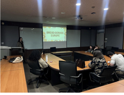 4b5a6be185f72480bfb048e6db962446_1767330685_1414.png 4b5a6be185f72480bfb048e6db962446_1767330685_1414.png